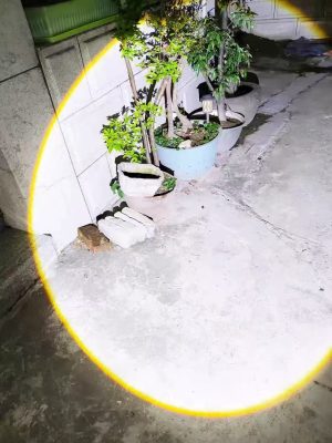 微信图片_20250313140352